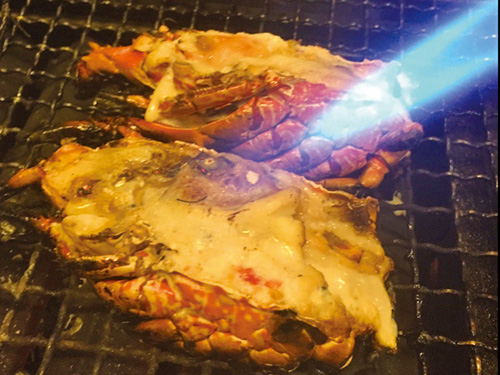料理写真